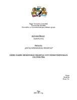 Referāts 'Zemes darbu mehāniskās iekārtas ostu hidrotehniskajā celtniecībā', 1.