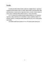 Referāts 'ISO 9001-2000 standarta prasību skaidrojums', 3.