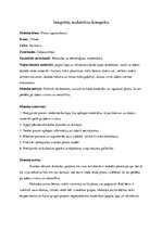 Konspekts 'Integētais konspekts dabaszinībās', 1.