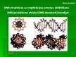 Prezentācija 'Nukleīnskābes', 9.