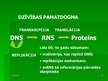 Prezentācija 'Nukleīnskābes', 10.