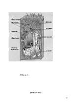 Referāts 'Vienšūņi', 13.