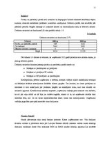 Prakses atskaite 'Uzņēmuma finanšu analīze', 11.