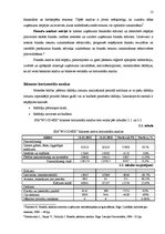 Prakses atskaite 'Uzņēmuma finanšu analīze', 13.