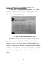 Konspekts 'Ūdensapgāde un kanalizācija', 5.