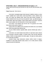 Referāts 'Savvaļas ārstniecības augi manā apkārtnē', 11.