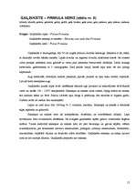 Referāts 'Savvaļas ārstniecības augi manā apkārtnē', 12.