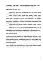 Referāts 'Savvaļas ārstniecības augi manā apkārtnē', 18.