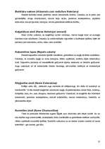 Referāts 'Savvaļas ārstniecības augi manā apkārtnē', 23.