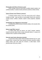 Referāts 'Savvaļas ārstniecības augi manā apkārtnē', 26.