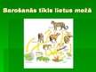Prezentācija 'Tropiskie lietus meži', 17.