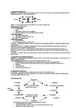 Konspekts 'Cilvēku uzvedības teorijas', 6.