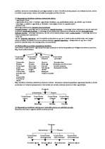 Konspekts 'Cilvēku uzvedības teorijas', 12.