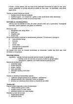 Konspekts 'Ievads tūrismā', 2.