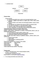 Konspekts 'Ievads tūrismā', 3.