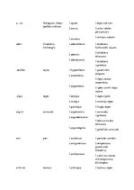 Konspekts 'Terminelementi latīņu valodā', 2.