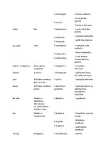 Konspekts 'Terminelementi latīņu valodā', 3.