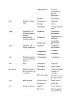 Konspekts 'Terminelementi latīņu valodā', 5.
