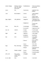 Konspekts 'Terminelementi latīņu valodā', 6.