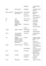 Konspekts 'Terminelementi latīņu valodā', 8.