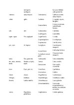 Konspekts 'Terminelementi latīņu valodā', 9.