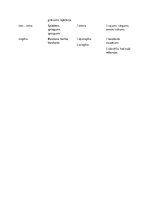 Konspekts 'Terminelementi latīņu valodā', 10.
