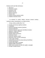 Diplomdarbs 'Loģistikas sistēmas izveide uzņēmumā', 28.