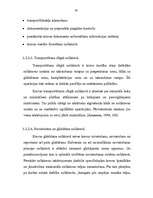 Diplomdarbs 'Loģistikas sistēmas izveide uzņēmumā', 65.