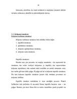 Diplomdarbs 'Loģistikas sistēmas izveide uzņēmumā', 83.