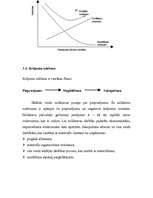 Diplomdarbs 'Loģistikas sistēmas izveide uzņēmumā', 87.