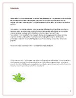 Referāts 'Medicīniskā parazitoloģija', 8.