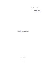 Referāts 'Metālu sakausējumi', 1.