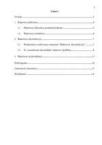 Referāts 'Mans raksturs', 2.