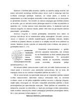 Referāts 'Mans raksturs', 4.