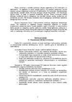 Referāts 'Eiropas Savienības pirmsiestāšanās kritēriji un stratēģija', 5.