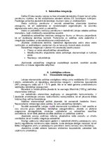 Referāts 'Eiropas Savienības pirmsiestāšanās kritēriji un stratēģija', 6.