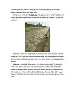 Referāts 'Romas arhitektūra', 4.