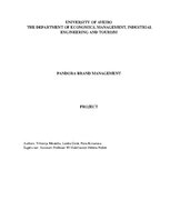 Referāts 'Pandora zīmola vadība', 1.