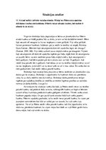 Eseja 'Situācijas analīze', 1.