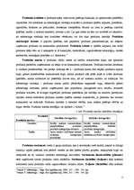 Konspekts 'Produkts', 3.