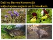 Prezentācija 'Bioloģiskās daudzveidības saglabāšana', 8.