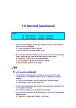 Referāts 'Conditionals, Infinitive or Gerund & The Passive Voice', 5.