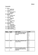 Eseja 'Mediju vērtības interneta ziņu portālos par konfliktiem un notikumiem Afganistān', 7.