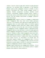 Referāts 'Metodiskā darba vadības nozīme pedagoģiskās meistarības pilnveidē', 2.