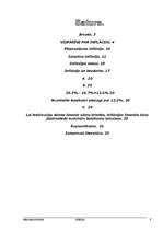 Referāts 'Inflācija', 2.