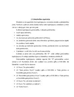 Prakses atskaite 'Prakses atskaite. Finanšu analīze', 9.