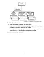 Prakses atskaite 'Prakse Valsts ieņēmumu dienestā', 10.