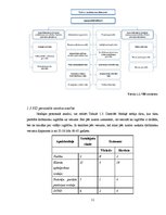 Prakses atskaite 'Prakse Valsts ieņēmumu dienestā', 11.