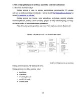 Prakses atskaite 'Prakse Valsts ieņēmumu dienestā', 29.