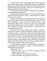 Prakses atskaite 'Prakse Valsts ieņēmumu dienestā', 38.